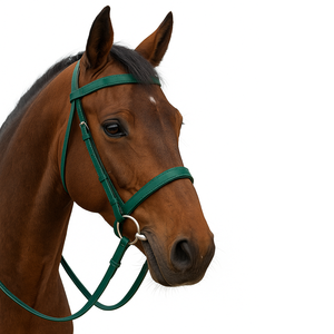 Ensemble de bridon et de harnais pour cheval en PVC, directement de l'usine, avec peitoral assorti, équipement d'équitation et d'entraînement durable, exporté d'Inde - Product Image 1