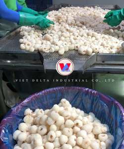 [OFERTA ESPECIAL] Lichi Congelado Dulce IQF, Fruta Blanca a Granel, Origen Vietnam, Calidad de Exportación para Procesamiento de Alimentos/Ms. Kelly - Product Image 2