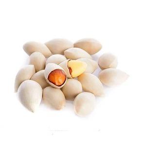 ราคาขายส่งถั่วแปะก๊วยดิบ มีจำหน่ายจำนวนมาก - Product Image 2