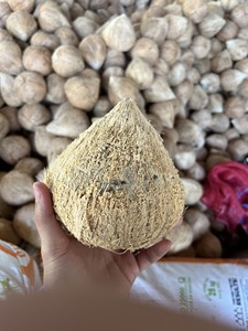 Noix de coco brune décortiquée du Vietnam – Fournisseur fiable pour les fabricants alimentaires (WA +84914319488) - Product Image 1