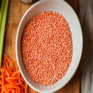 Lentejas Rojas Secas de Primera Calidad, Masoor Dal, Lentejas Rojas Enteras Naturales para Cocinar Sopas, Currys y Otros Alimentos, Suministro al por Mayor - Product Image 2
