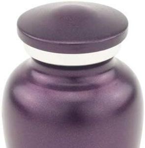 Decorative Stainless Steel Modern Eco-Friendly Pet Cremation Urns <b>for</b> Dog <b>Ashes</b> Small Funeral Supplies Wholesale - Product Image 3