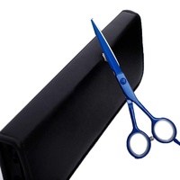 Ciseaux de coiffure professionnels pour la coupe des cheveux, ensemble de 2 pièces avec étui, en acier inoxydable, meilleure qualité à prix avantageux