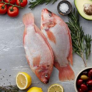 Tilapia Roja Entera Congelada, Cuidadosamente Seleccionada, con Sabor y Textura Premium, Envío Rápido y Económico - Product Image 1