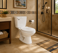 WC économique à siphon en S, deux pièces, à double chasse, en céramique, pour salle de bain, 40HQ, 590 ensembles, Amérique du Sud, hôtel, à chasse lente