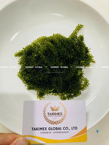 Uvas de Mar de Primera Calidad, Caviar Verde de Latok, Vietnam, Takimex Global, para Sushi y Ensaladas, en Bolsa de 100g, Lista para Exportar - Product Image 4