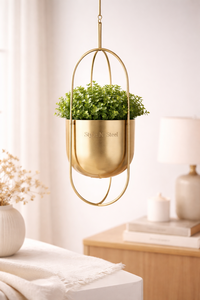 Hanging Iron Powder Coated Durable Multi-Purpose Modern Classic Outdoor & Indoor Planter with Drainage - Product Image 3