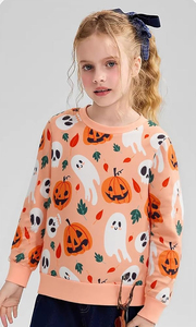 Women's Casual Solid Yarn Dyed Long Sleeve <b>Sweatshirt</b> with Badge Front Printing for Winter Season 100% Cotton - Product Image 3
