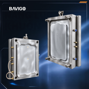 บริการออกแบบและผลิตแม่พิมพ์ฉีดพลาสติกแบบกำหนดเอง BAVIGO สำหรับโครงการ OEM/ODM (รุ่น BVG-DV-000001) - Product Image 1