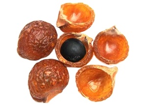 Fournisseur en vrac de nettoyant pour tissus en noix de savon d'Inde - Product Image 4