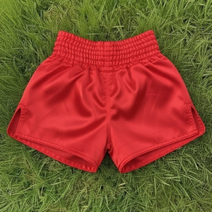 Shorts de Muay Thai professionnels, extensibles, respirants, séchage rapide, légers, pour le kickboxing et la pratique du Muay Thai. - Product Image 1