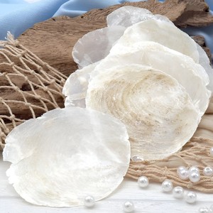 Discos planos de concha de capiz de Vietnam, venta al por mayor de fábrica, conchas marinas naturales, discos redondos de conchas marinas - Product Image 5