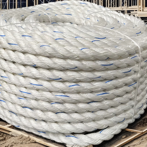 PP Virgin Polypropylene Danline Ropes 3-4 Strands UV Protection Durable Twisted 4mm-40mm Size High Tensile Strength Packaging - Product Image 1