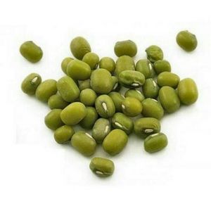 Fournisseur de haricots mungo verts de première qualité en vente à prix avantageux - Product Image 2