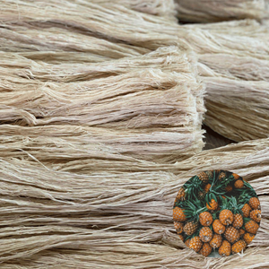 Fibra de Hoja de Piña Agrícola de Vietnam, Estándar Internacional, la Más Vendida, en Bolsa de 2 kg, Gran Oferta - Product Image 1