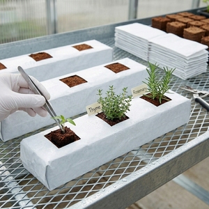 Hot Sale UV Protection Plant Nursery Grow <b>Bag</b> for Plants <b>Vegetable</b> Fruit Plastic LDPE Plant Seed <b>Bag</b> - Product Image 6