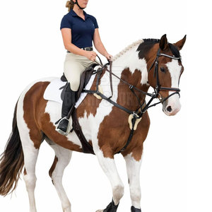Oferta Especial: Pechera para Caballo de Estilo Clásico, Diseñada para Actividades Ecuestres y Comodidad - Product Image 6