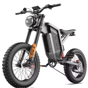 Nuevo Producto a Precio de Fábrica, Bicicleta Eléctrica EKX-Bike X21 48V 2000W 35AH con Batería de Litio, Envío Gratuito a Todo el Mundo - Product Image 1