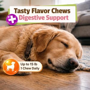 Friandises Apaisantes Personnalisées pour Chiens OEM – Friandises Naturelles Moelleuses pour Soulager le Stress et l'Anxiété, Soutien pour le Bruit et les Voyages, Approvisionnement en Gros - Product Image 5