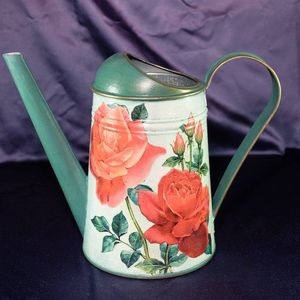 Regadera compacta de metal para plantas pequeñas, uso en interiores, resistente al óxido, boquilla larga, agarre ergonómico, diseño ligero y portátil - Product Image 1