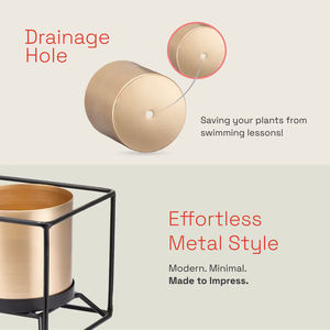 Novedad: Macetero de latón dorado para escritorio, portavelas, centros de mesa, decoración para el hogar y jardín, macetero con soporte, ¡el más vendido! - Product Image 5