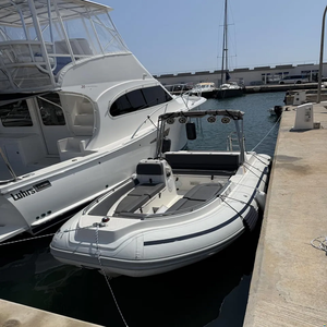 A-B M-a-r-i-n-e A-B N-a-u-t-i-l-u-s 19 D-L-X - Product Image 1