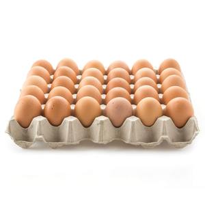 Huevos de Gallina Marrones de Calidad de Exportación, Proveedor Mayorista, Huevos Frescos Naturales, Empaque a Granel para Mercados Globales - Product Image 6