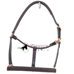 Harnais en cuir vide à personnaliser avec des pièces pour le nez et les joues, pour la broderie et les cristaux, rembourrage doux en cuir, pour tête de cheval - Product Image 1