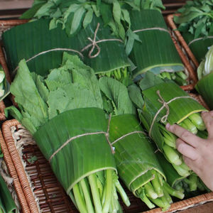 Hojas de plátano frescas para envolver alimentos, hoja de plátano para envasado en supermercados - Product Image 1