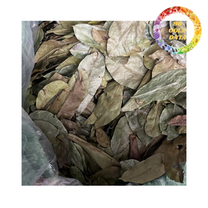 ใบเต้าร้อยแห้งธรรมชาติสำหรับชาสมุนไพร ใบเต้าร้อยสำหรับตลาดส่งออก - Product Image 6