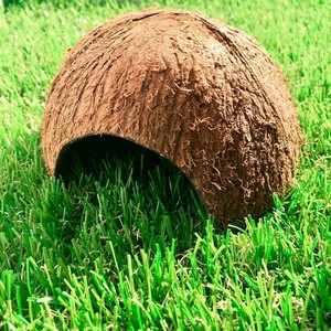 Abri en demi-coquille de noix de coco, lieu de cachette idéal pour les grenouilles, les lézards et les petits reptiles, 100% naturel, durable, utilisable en intérieur et en extérieur - Product Image 2