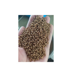 Free Flowing NPK 17 17 17 for Broadcasting Systems Premium NPK 17 17 17 Granules for Crop Nutrition - Product Image 1