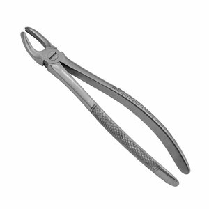 Forceps dentaire pour chirurgie buccale, modèle anglais, en acier inoxydable, outil d'extraction dentaire pour molaires et usage dentaire général - Product Image 3