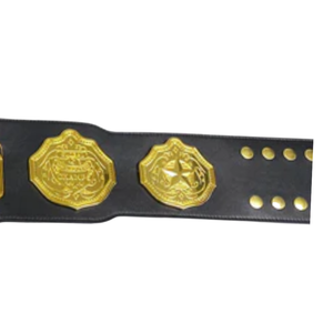 Ceinture de champion personnalisable, qualité supérieure, cuir noir avec détails dorés, option de texte personnalisé - Product Image 4
