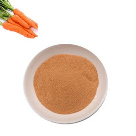 POLVO DE ZANAHORIA ORIGEN VIETNAM PRECIO AL POR MAYOR PARA BEBIDAS NUTRICIONALES Y COSMÉTICOS - Product Image 3