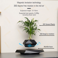 Pot de Fleur Magnétique Flottant Lévitant Intelligent Personnalisé de Haute Qualité pour Décoration d'Intérieur Moderne de Jardin et Succulentes