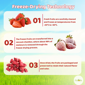 Fraises lyophilisées de qualité supérieure, saines et sucrées, emballées sous vide en vrac pour l'exportation, processus de séchage FD - Product Image 2