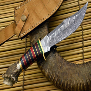 Couteau de chasse et de camping en plein air, lame fixe en acier inoxydable, couteau de survie avec lame robuste et poignée ergonomique antidérapante - Product Image 1