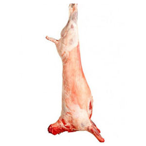 Viande de mouton halal fraîche et congelée de qualité supérieure, approvisionnement en gros pour les exportateurs, importateurs et grossistes en viande - Product Image 6