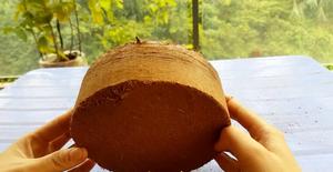 Bloque comprimido de turba de coco, medio de cultivo sostenible de origen vietnamita para viveros y granjas hortícolas - Product Image 6