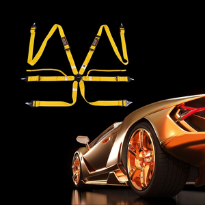 Racing Harness Seat Belt TBRACING FIA Approved 8853 2016 OEM ODM Brand Wholesale Ultra Thin High Tension Construction - Product Image 2