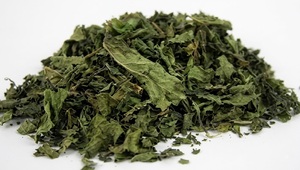 Pure Mentha Arvensis Dried Leaves Premium Quality Natural Wild <b>Mint</b> Herb for Herbal Preparations - Product Image 3