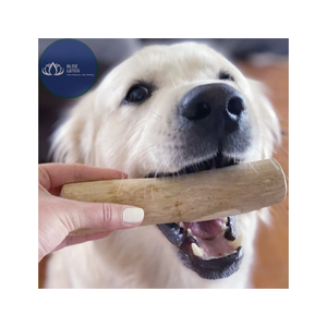 Bâtonnet à mâcher pour chien en bois de café de qualité supérieure, norme export, entièrement naturel, sans caféine, pour l'hygiène dentaire - Product Image 1