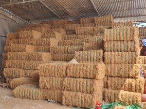 Fibre de coco brute de haute qualité en gros, fibre de coco agricole écologique à prix compétitif directement du fabricant - Product Image 5