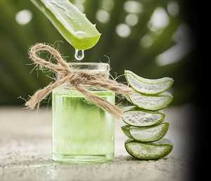 Jugo de Aloe Vera Natural Premium, Bebida Herbal Pura para la Salud, 36 Meses de Vida Útil, Hecho en Jharkhand por Ojistha Industries, Almacenamiento en Lugar Fresco y Seco - Product Image 3