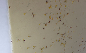 Pétalos de papel de fibra de yute de color natural al por mayor y hierba finamente picada para hojas de regalo con efecto marrón. - Product Image 2