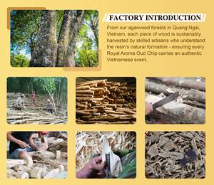 Wholesale Vietnamese <b>Agarwood</b> Oud Chips Natural Resin Rich Fragrance Wood High Oil Content <b>Incense</b> Wood - Product Image 6