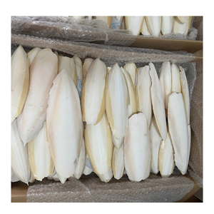 สินค้าขายดี |   อาหารเสริมแคลเซียมจากกระดูกปลาหมึกสำหรับนก สัตว์เลื้อยคลาน นกแก้ว ช่วยในการบดปาก จากบลูโลตัส เวียดนาม - Product Image 1