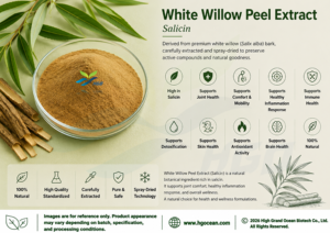Extrait de peau de saule blanc naturel de qualité alimentaire, fourni directement par l'usine HGO, extrait standardisé de salicine à 15%-98% - Product Image 2