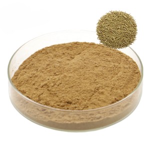 Polvo de Romero OEM/ODM 100% Puro y Natural para Mascarillas Capilares, Cuidado del Cabello y Crecimiento del Cabello - Product Image 2